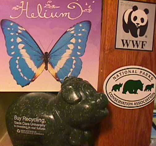 green recycling pig under a butterfly