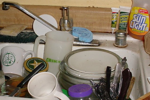 This is what my kitchen sink looks like before doing the dishwasher. Full of nested bowl, surrounded by everything from a Green Party coffee mug to a couple of simple greens by the sunlight.
