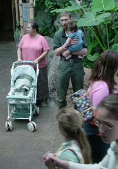 People walking with Amazon Rainforrest plants around them.