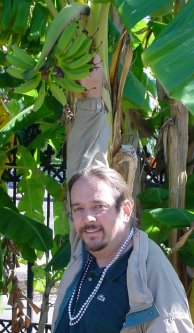 Tian touches the fruit on a banana tree in Jackson Square.